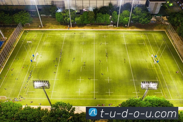 体育数据展示